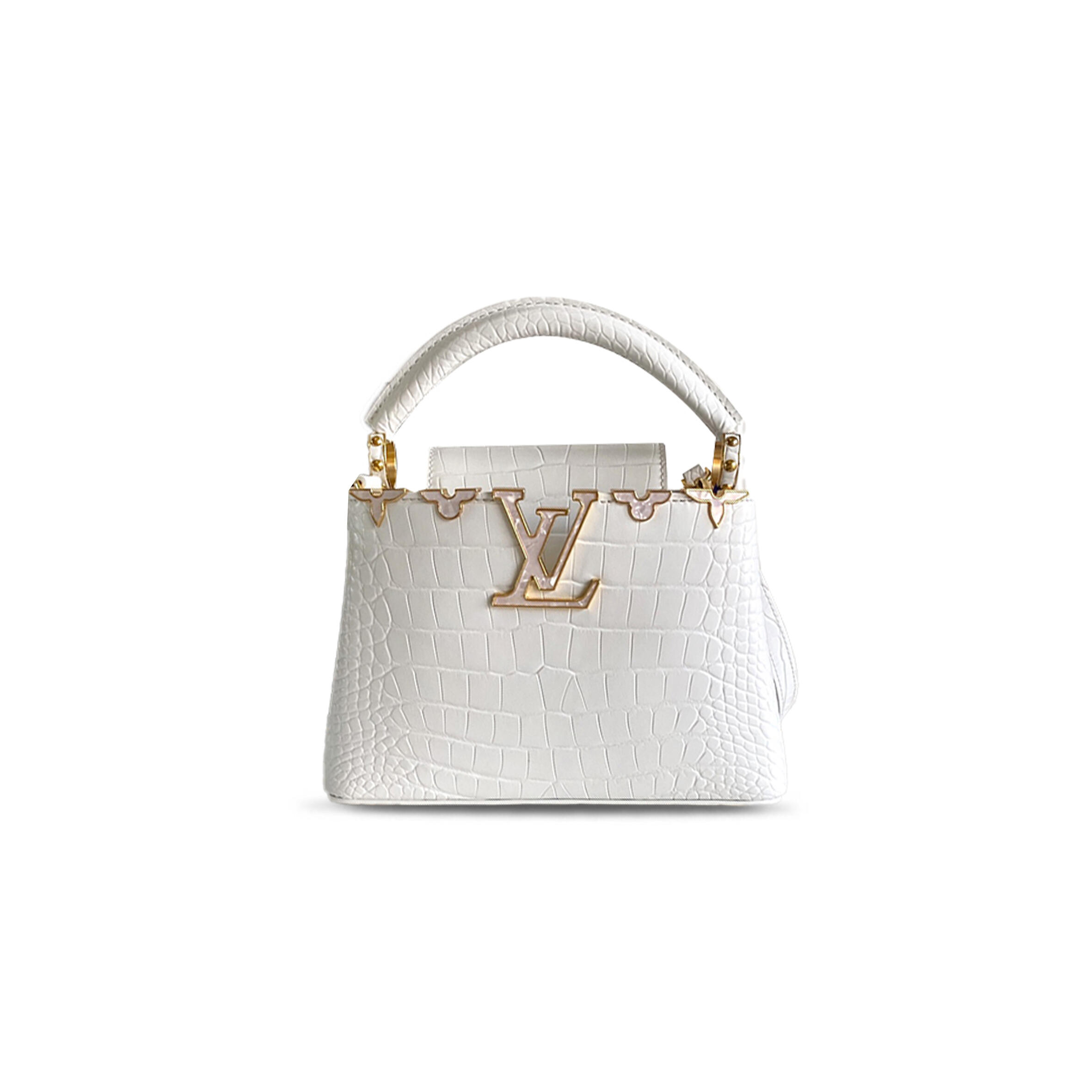 LOUIS VUITTON CAPUCINES MINI M86153 (21*14*8cm)